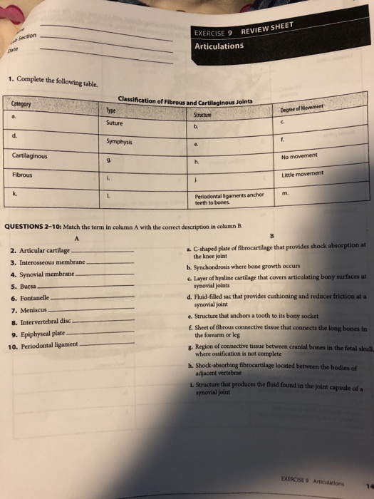 Solved Exercise 9 Revieww Sheet Articulations Section 1. 