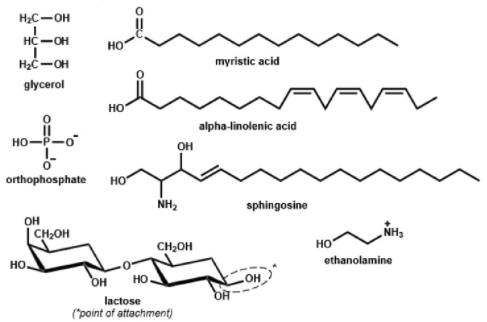 Solved Given the following compounds, assemble the structure | Chegg.com