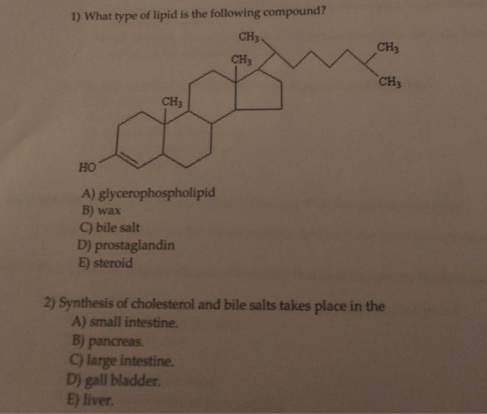 Solved 1) What type of lipid is the following compound? CH3 | Chegg.com