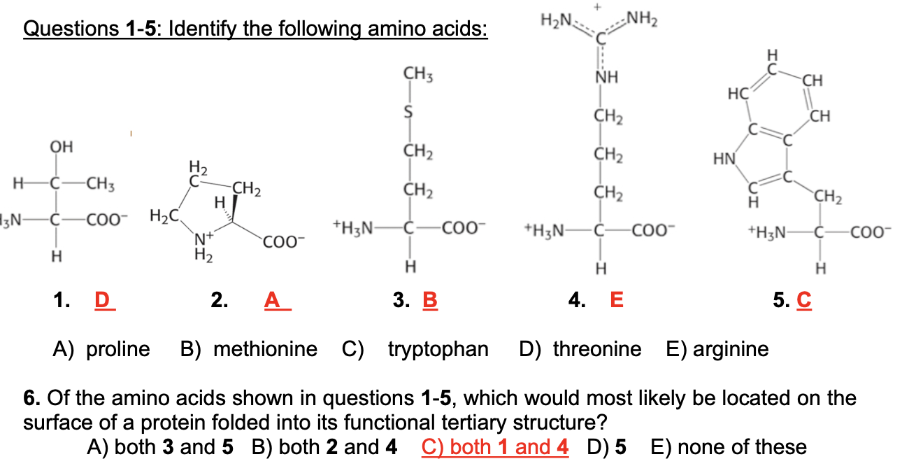Solved Questions 1-5: Identify the following amino acids: 1. | Chegg.com