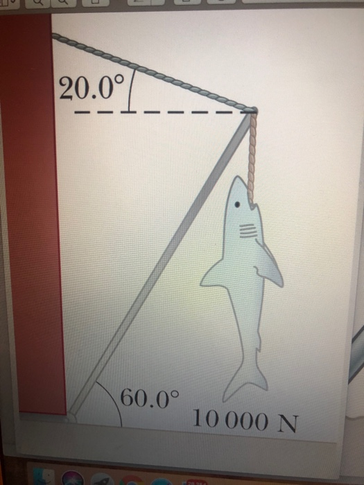 Solved 12P16 (1).ipg Q Search 20.0 60.0° 10000 N | Chegg.com