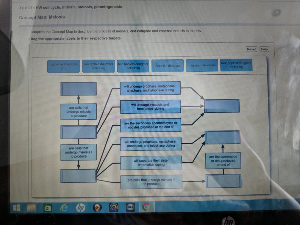 solved-complete-the-concept-map-to-describe-the-process-of-chegg