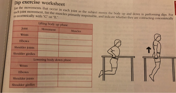 Joints And Movement Worksheet Answers - Worksheet List