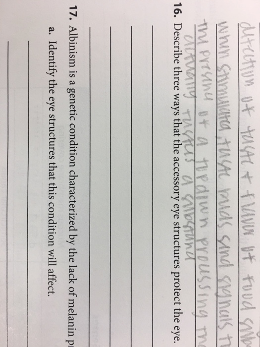 solved-16-describe-three-ways-that-the-accessory-eye-chegg