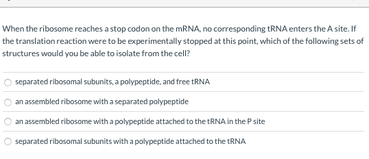 Solved A mutation that results in a single amino acid | Chegg.com