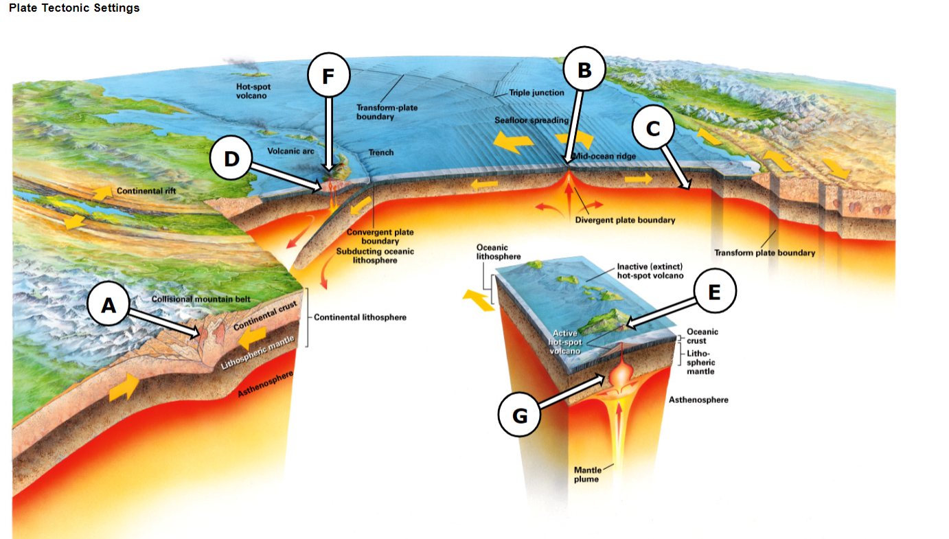 Solved Plate Tectonic Settings F B Hot-spot volcano Triple | Chegg.com