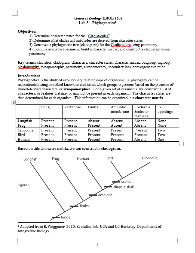 L General Zoology (BIOL 160) Lab 3 - Phylogenetics | Chegg.com