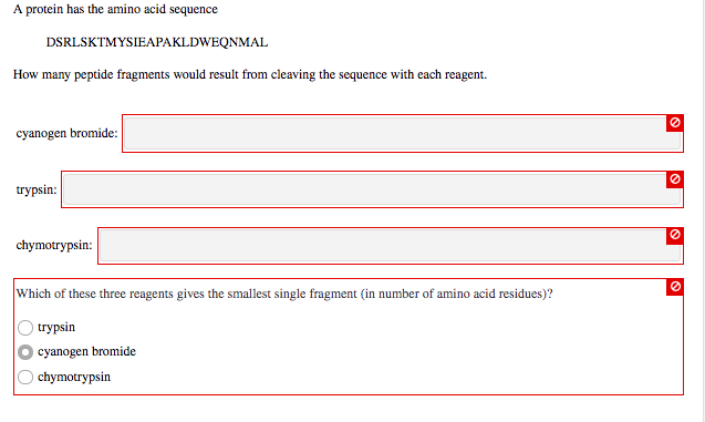 Solved A protein has the amino acid sequence | Chegg.com