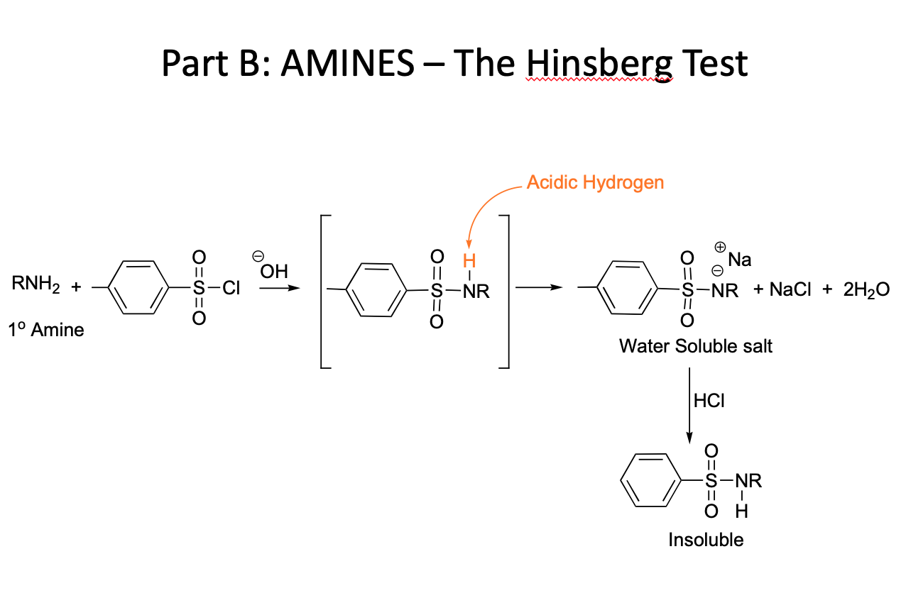 Solved Can Someone Please Explain The Mechanisms For The | Chegg.com