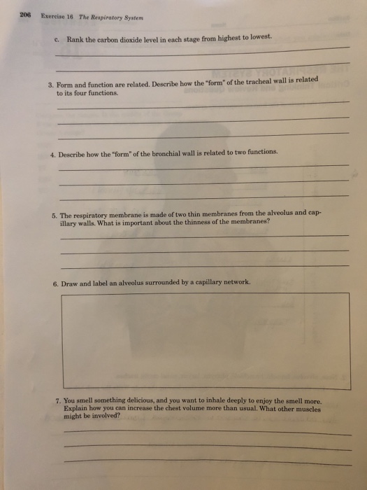 Solved 11. What is the relationship between the components