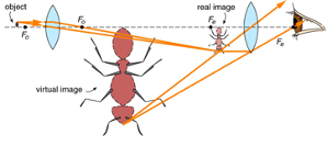 Solved The diagram below shows the basic layout for a | Chegg.com