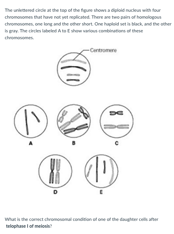 Solved Refer to the drawings in the figure below of a single | Chegg.com