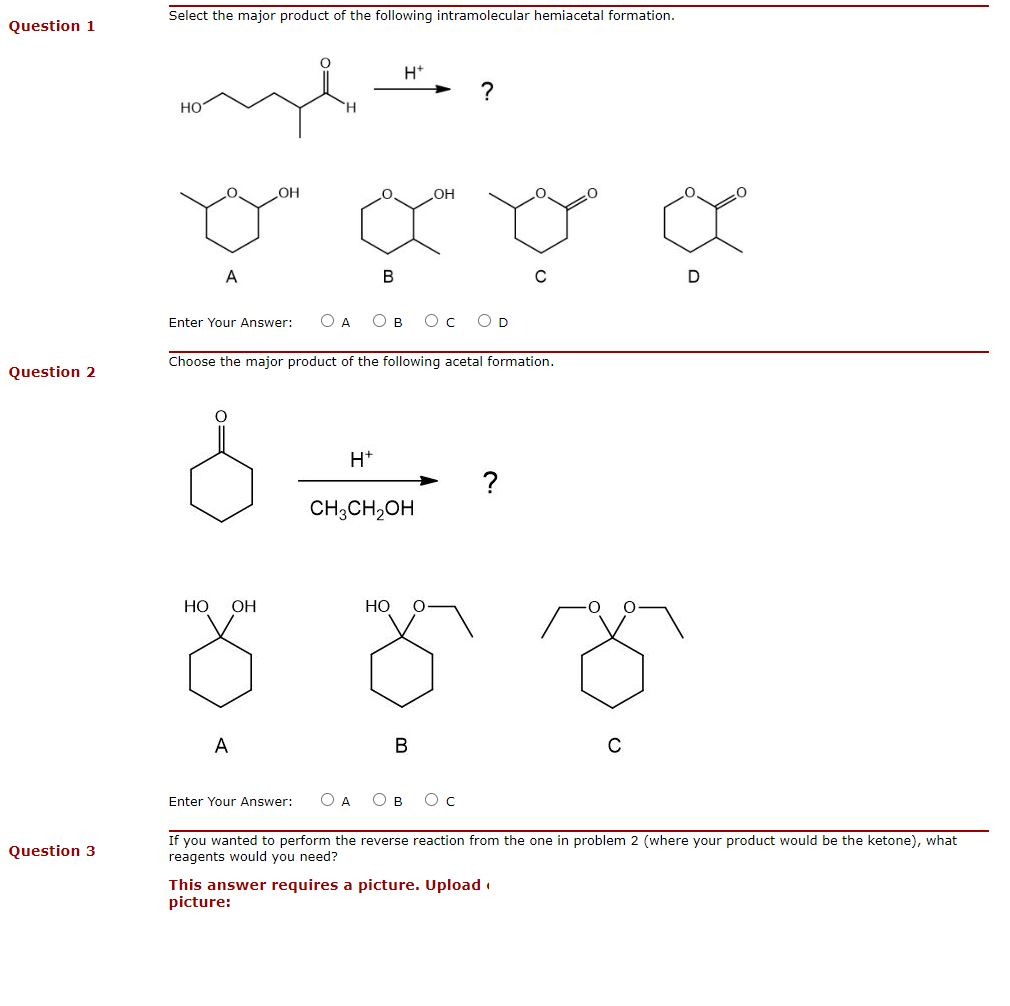 Solved Select the major product of the following | Chegg.com