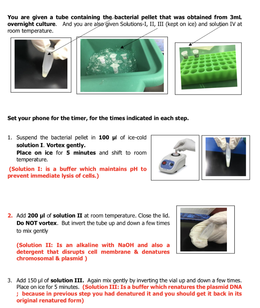 isolation dna experiment