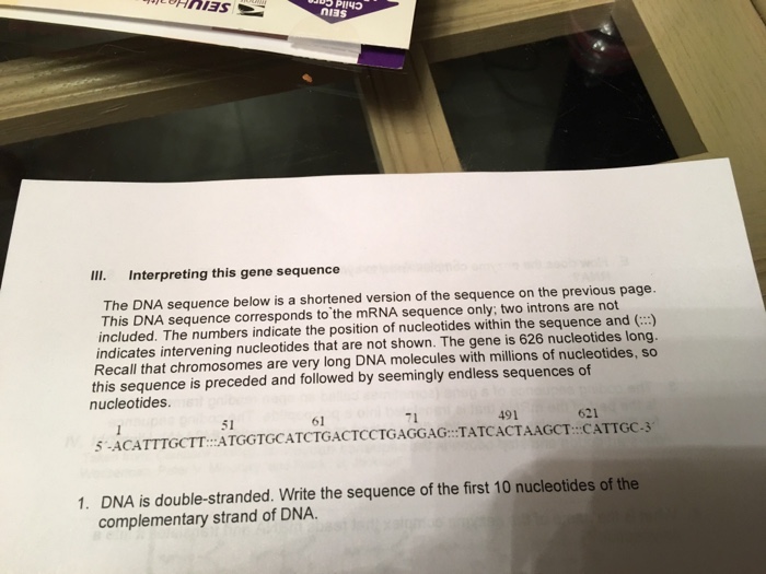 Solved The DNA sequence below is a shortened version of the | Chegg.com