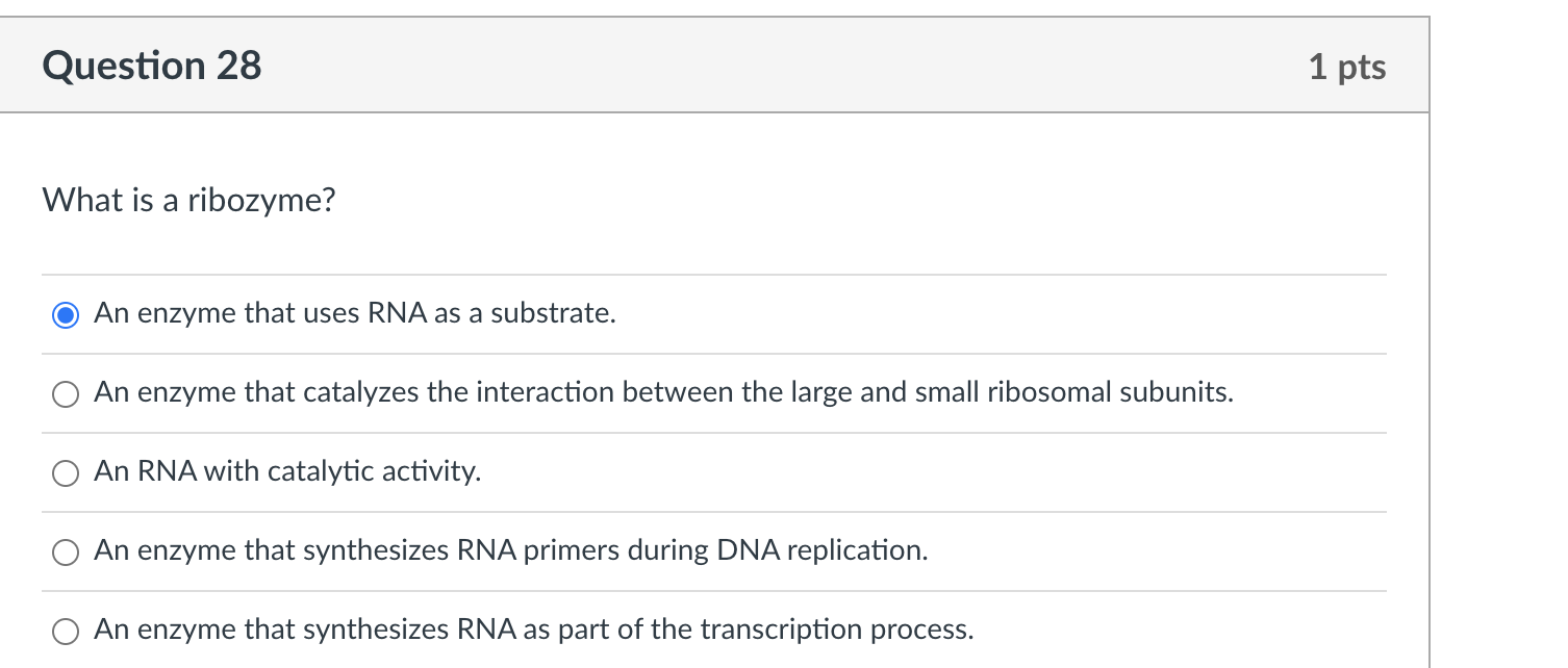 What is deals a ribozyme