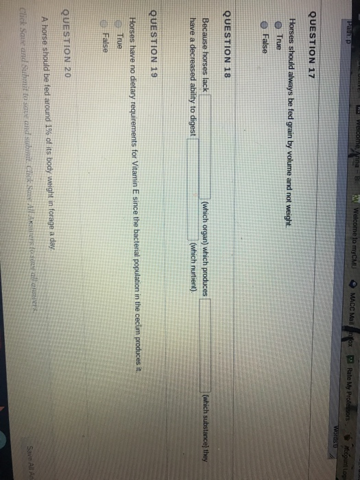 Solved Hello, I am struggling with question 18 and 19. | Chegg.com