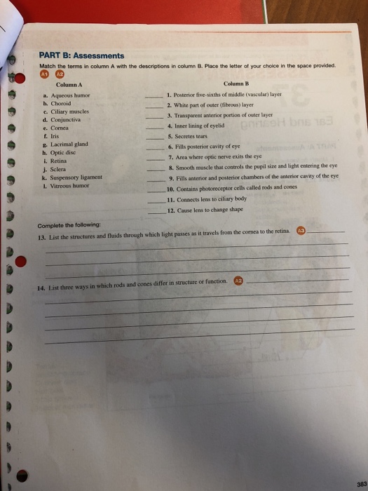 solved-part-b-assessments-match-the-terms-in-column-a-with-chegg