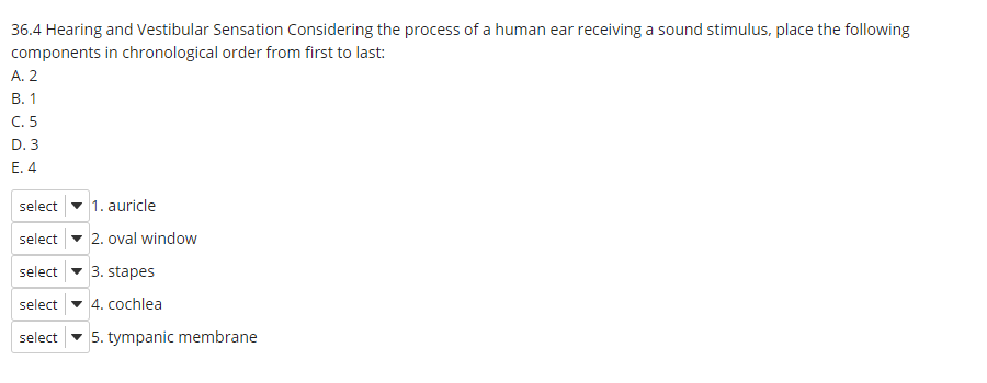 Solved 36.4 Hearing And Vestibular Sensation Considering The | Chegg.com