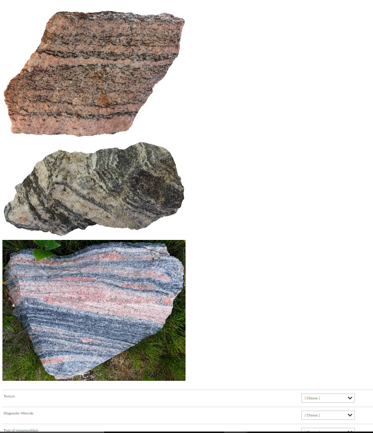 Solved Texture [Choose1 Diagnostic Minerals Choose1 Type of | Chegg.com