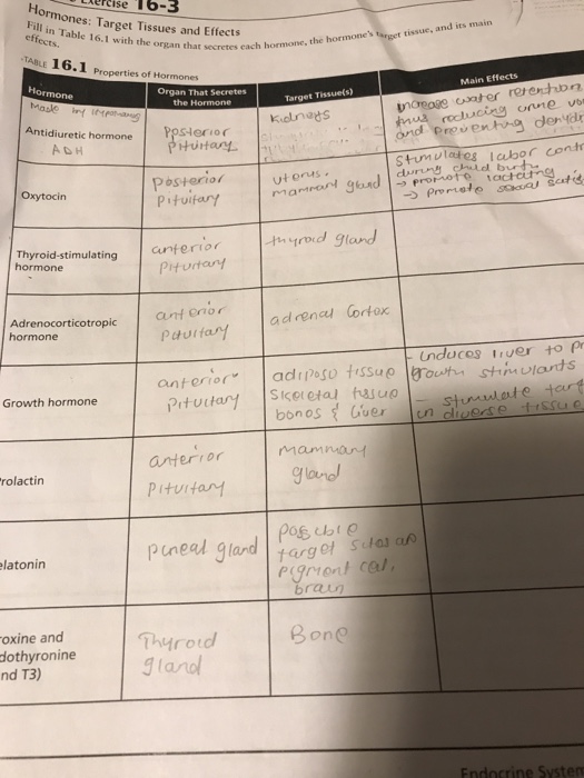 Solved cise 16-3 ormones: Target Tissues and Effects in | Chegg.com