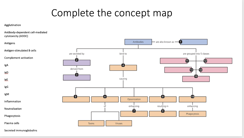Solved Complete the concept map Agglutination