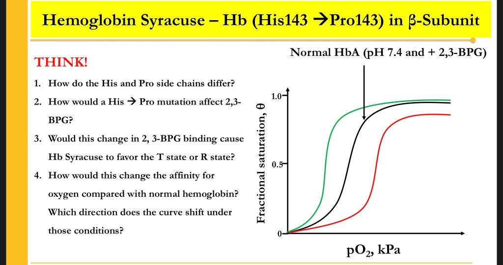 Solved Hemoglobin Syracuse – Hb (His143 →Pro143) in | Chegg.com