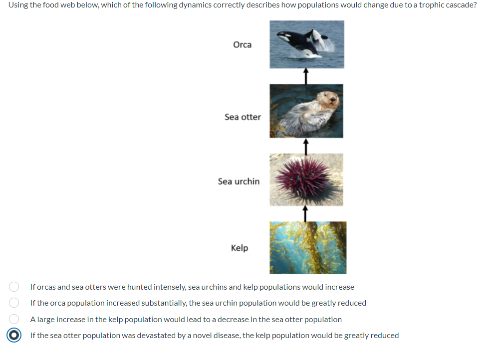 Solved Using the food web below, which of the following | Chegg.com