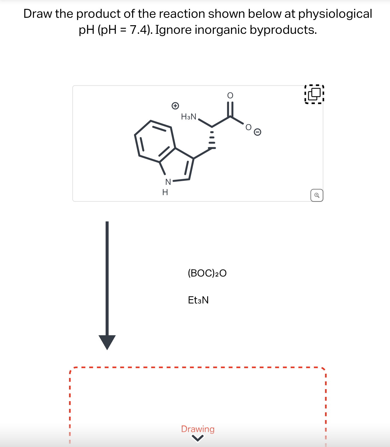 Solved Draw The Predominant Form Of Glutamic Acid At Ph 8 4