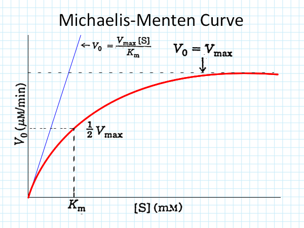 Solved Michaelis-Menten Curve EVO Vmax (S) ко Vo = Vmax - - | Chegg.com