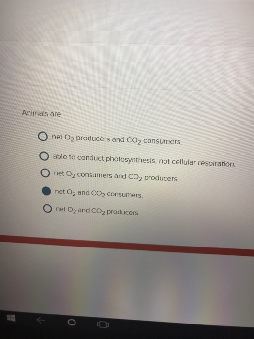 Solved Animals Are O Net O2 Producers And CO2 Consumers O Chegg
