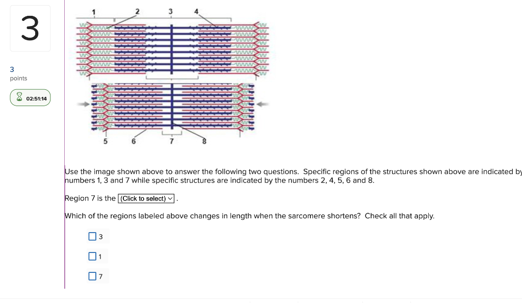 solved-jse-the-image-shown-above-to-answer-the-following-two-chegg