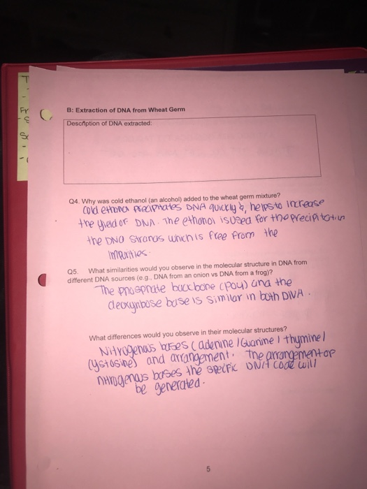 Solved Fy B Extraction of DNA from Wheat Germ Desciption of