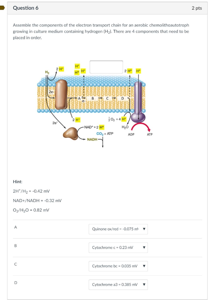 Solved Question 6 2 pts Assemble the components of the | Chegg.com