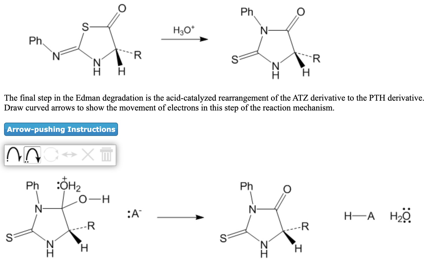 Solved *****Just show arrows on the bottom reaction, don't | Chegg.com
