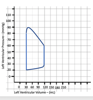 Solved What Is The Blood Pressure Of This Patient Select Chegg Com