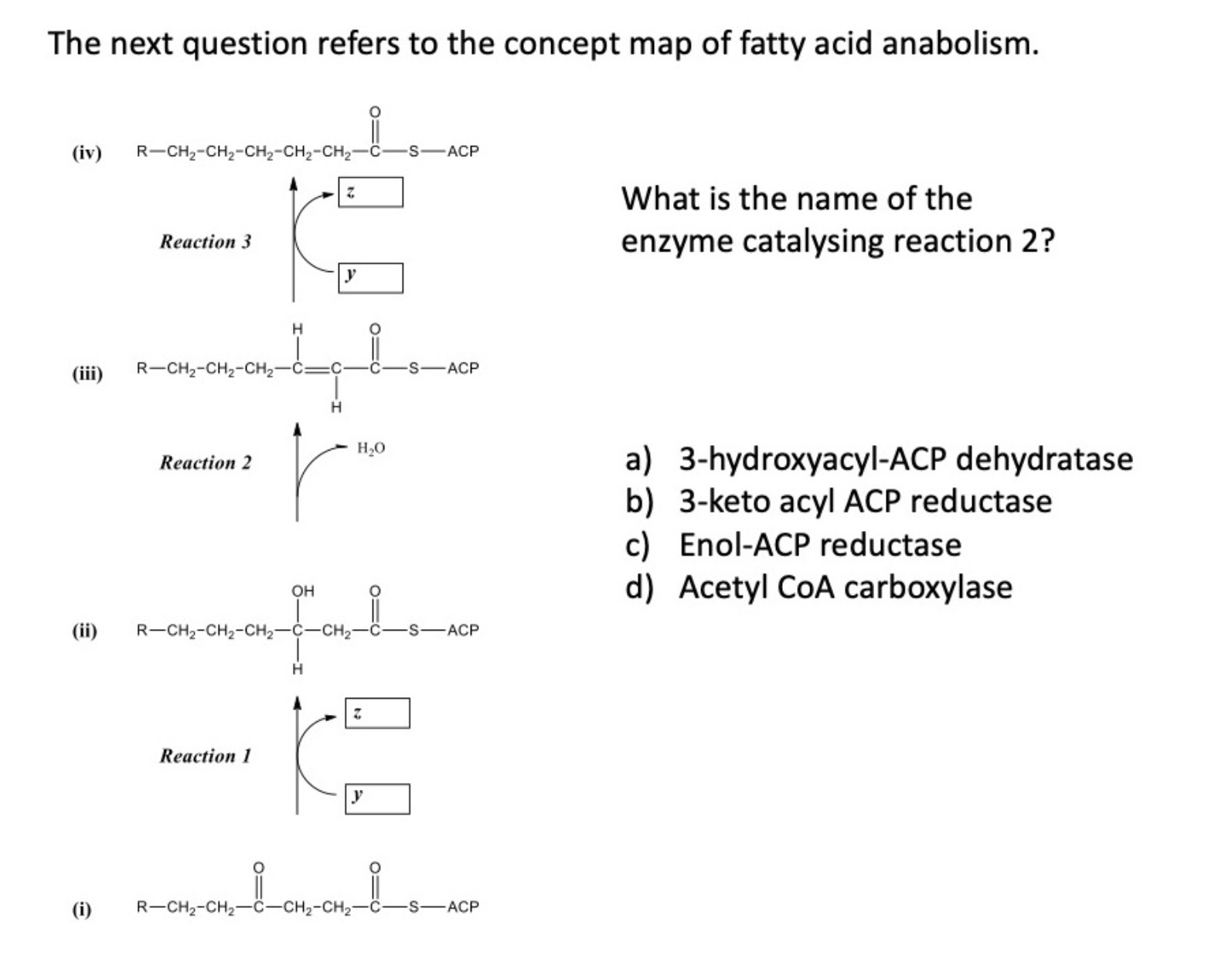 Solved The next question refers to the concept map of fatty | Chegg.com