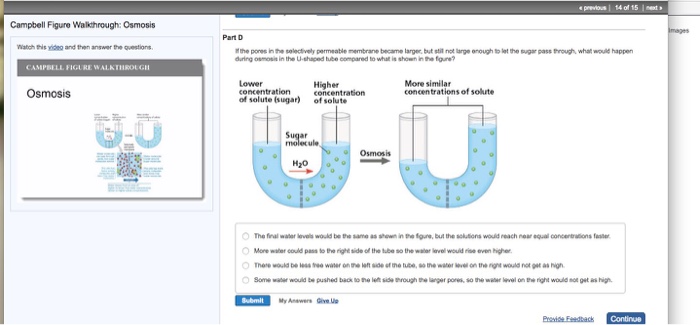 Solved Campbell Figure Walkcthrough: Osmosis atch this video | Chegg.com