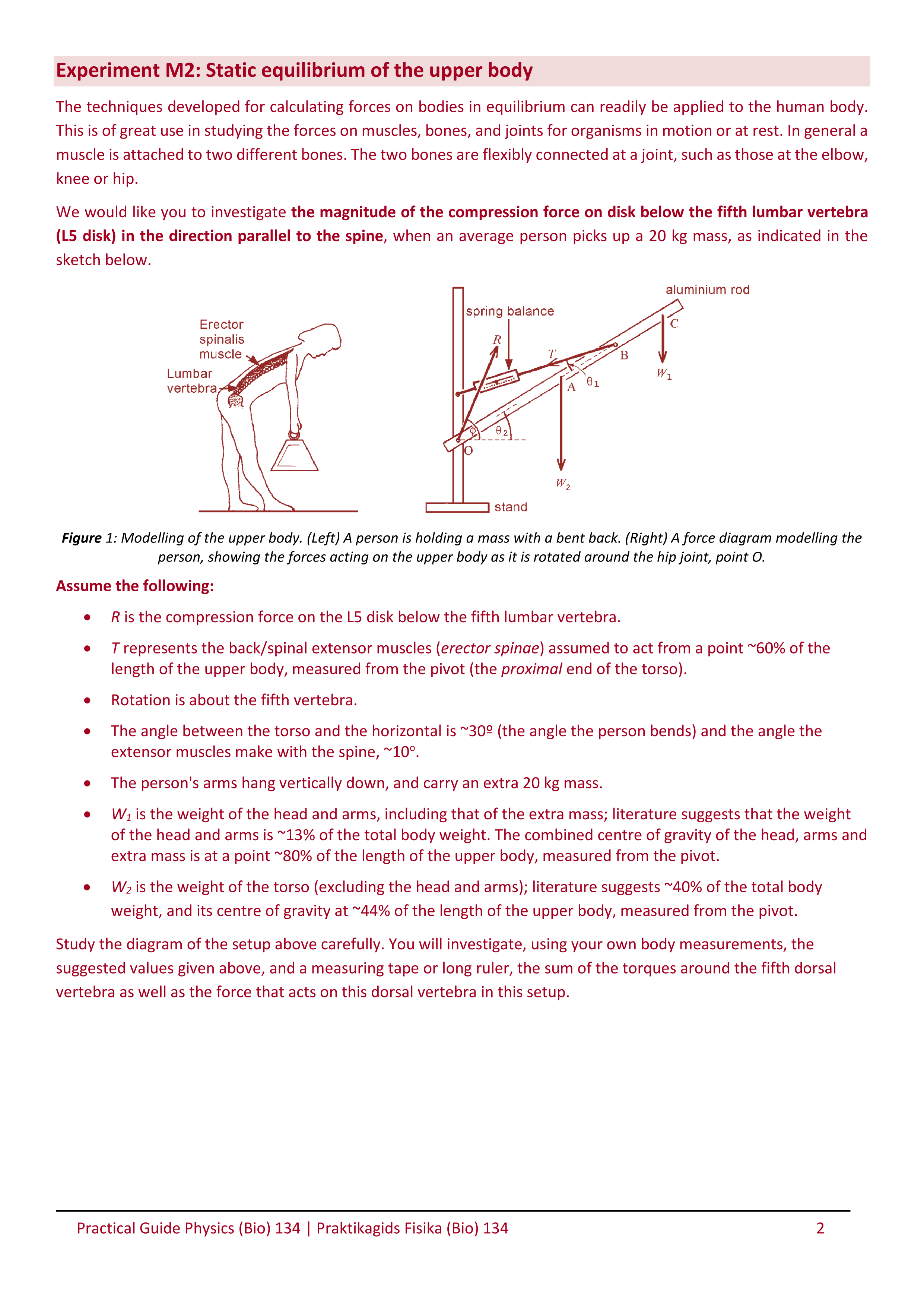 Solved Experiment M2: Static equilibrium of the upper body | Chegg.com