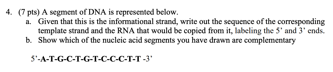 Solved 4. (7 pts) A segment of DNA is represented below. a. | Chegg.com