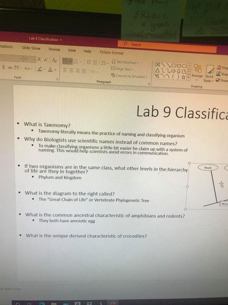 Solved Lab Clasification om Slide Show Heview View Help | Chegg.com