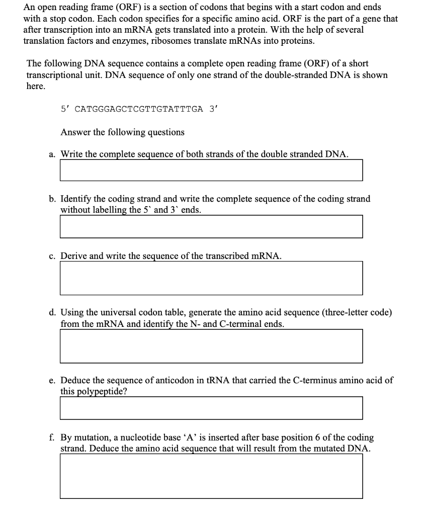 Solved An open reading frame (ORF) is a section of codons | Chegg.com