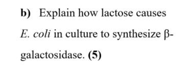 Solved b) Explain how lactose causes E. coli in culture to | Chegg.com