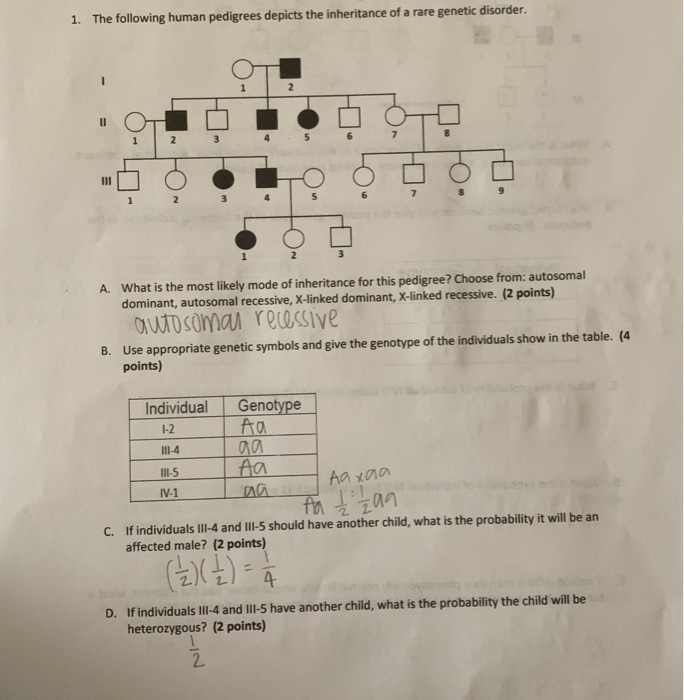 Solved The following human pedigrees depicts the inheritance | Chegg.com