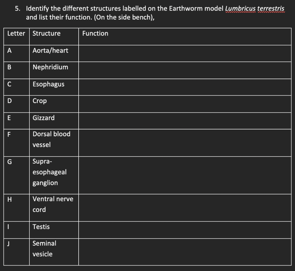 5. Identify the different structures labelled on the Earthworm model Lumbricus terrestris