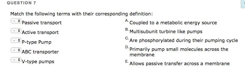 Solved QUESTION 7 Match the following terms with their | Chegg.com