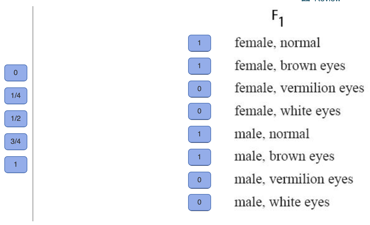 Solved In Drosophila, the X-linked recessive mutation | Chegg.com