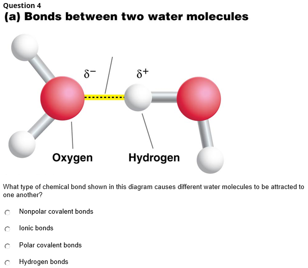 bond covalent bond in water