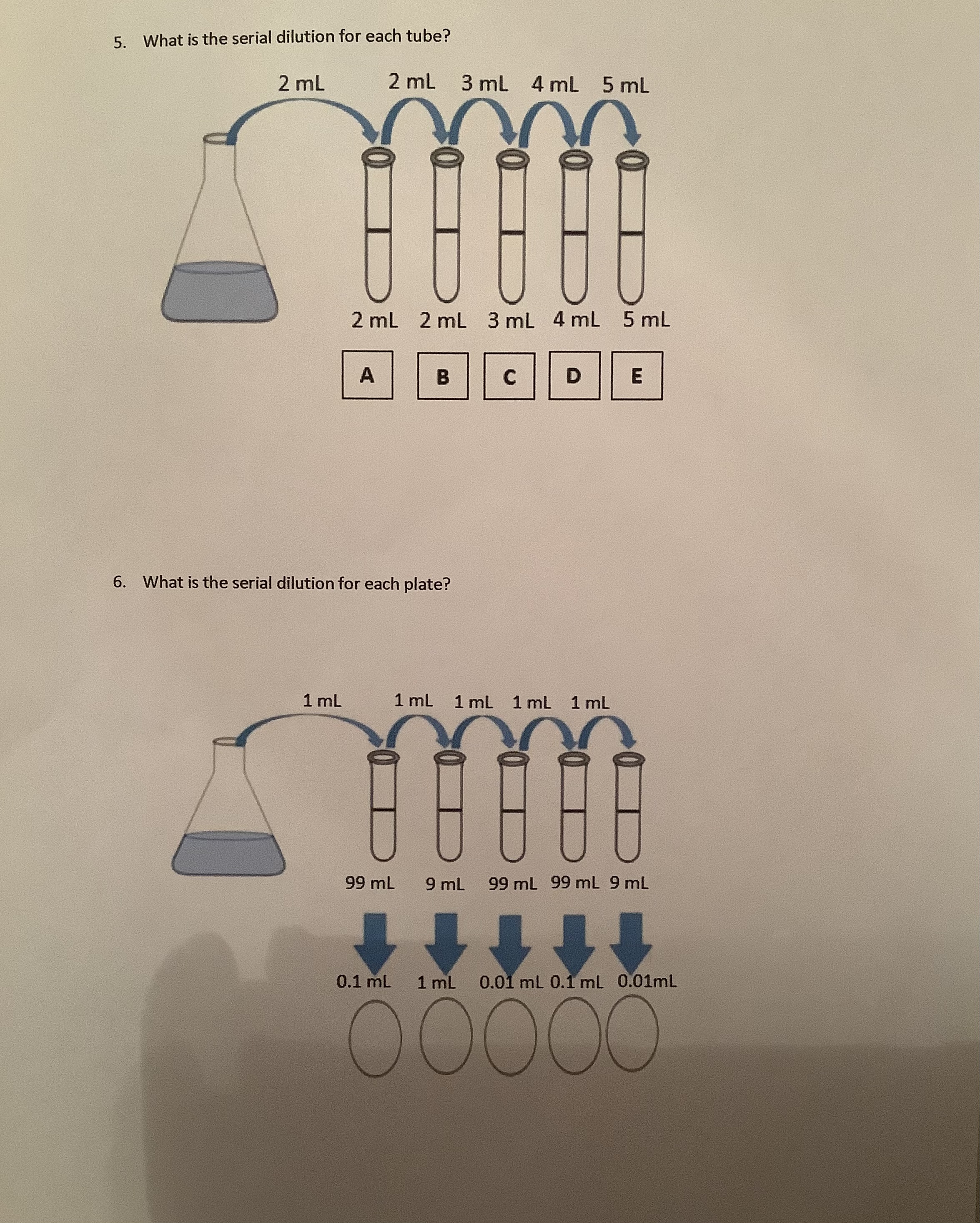 Solved 5. ﻿What is the serial dilution for each tube?6. | Chegg.com