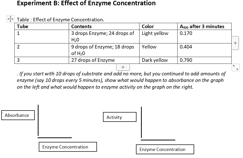 experiment the effect of temperature on enzyme activity